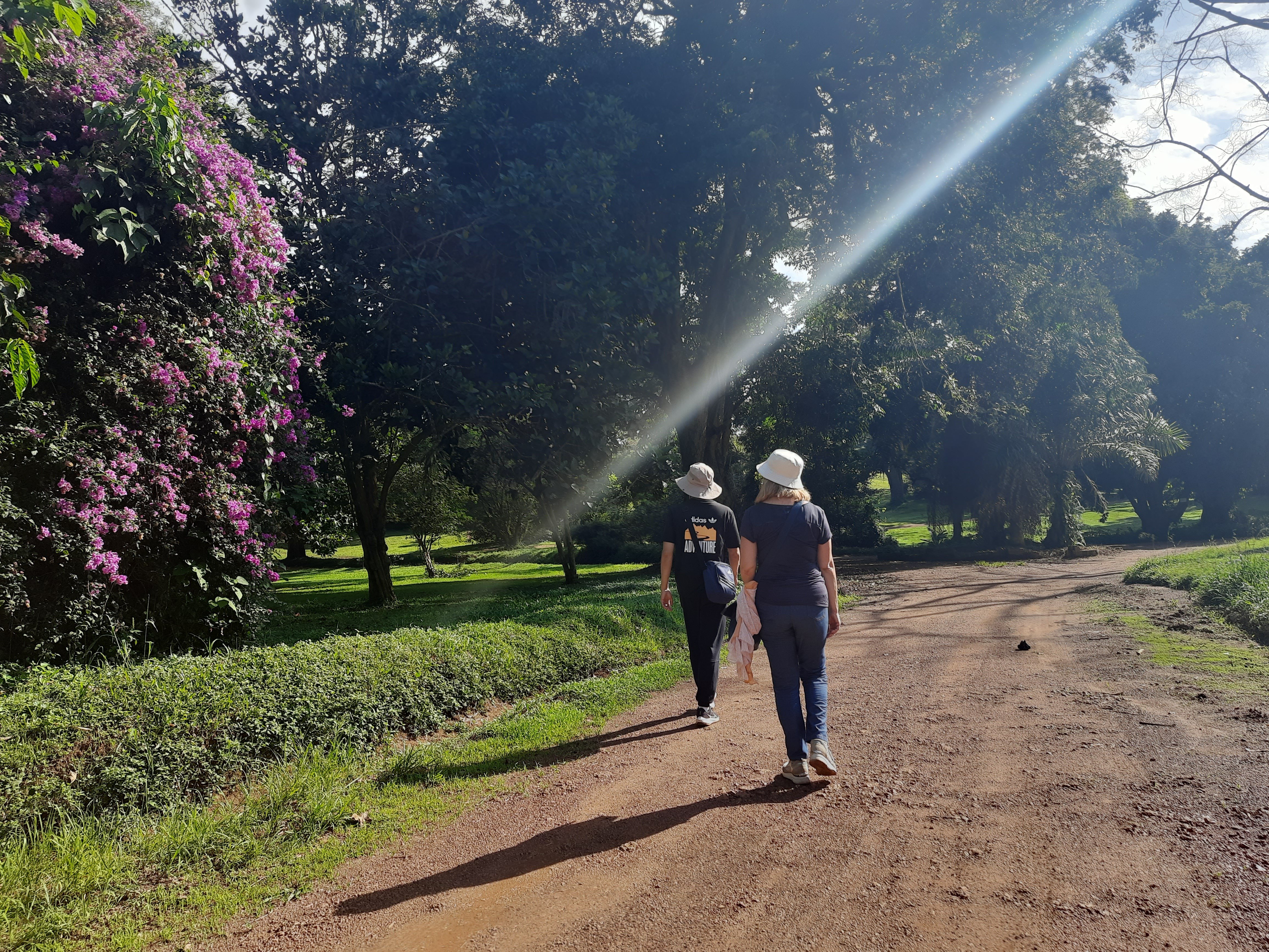 Botanical Gardens