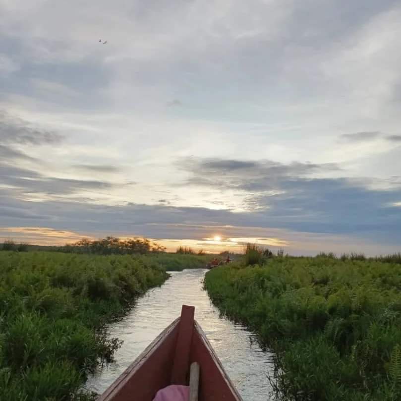 Mabamba Swamp
